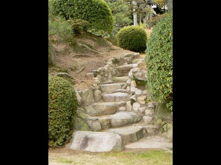 Stone Steps in a Garden